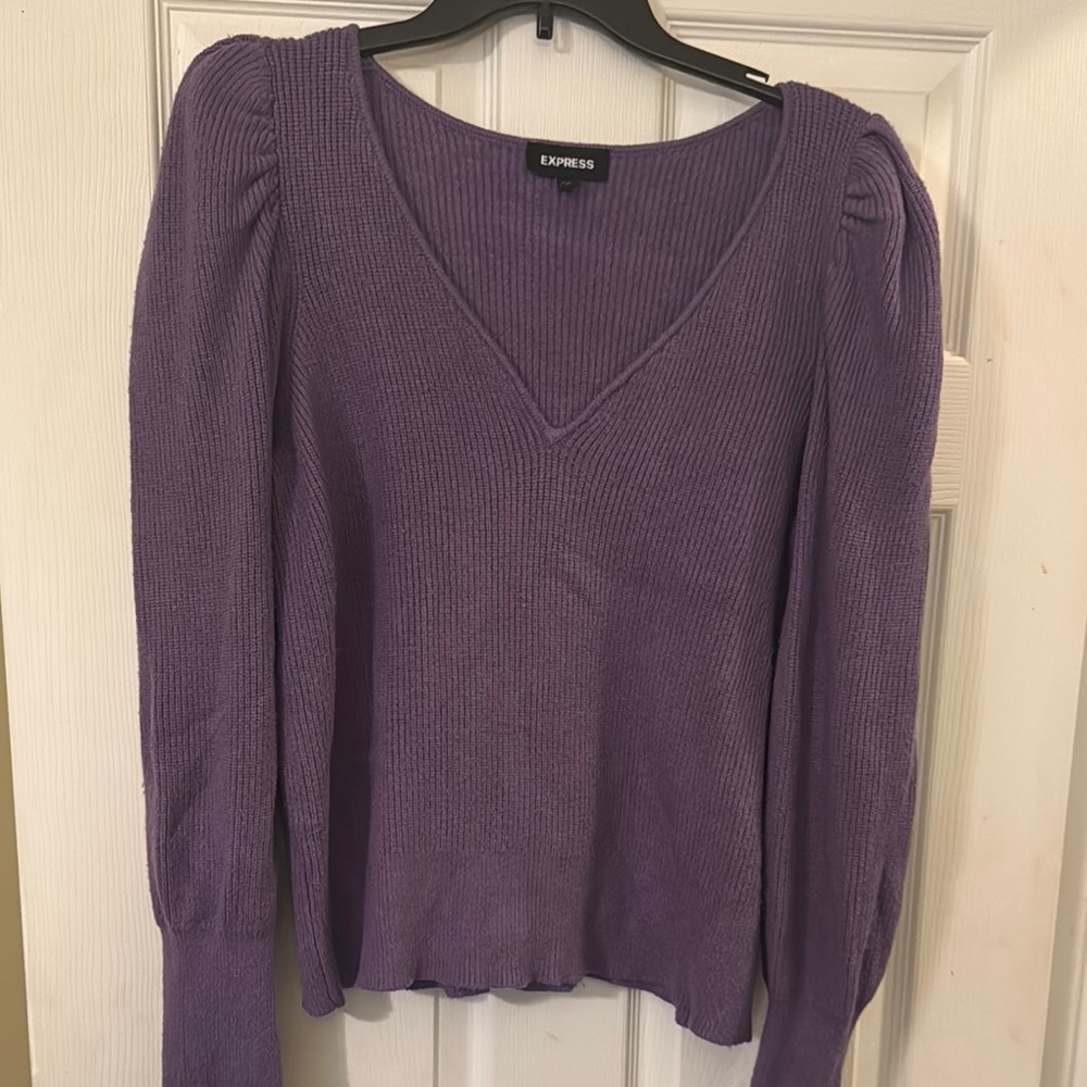 Express Lavender V-Neck Sweater